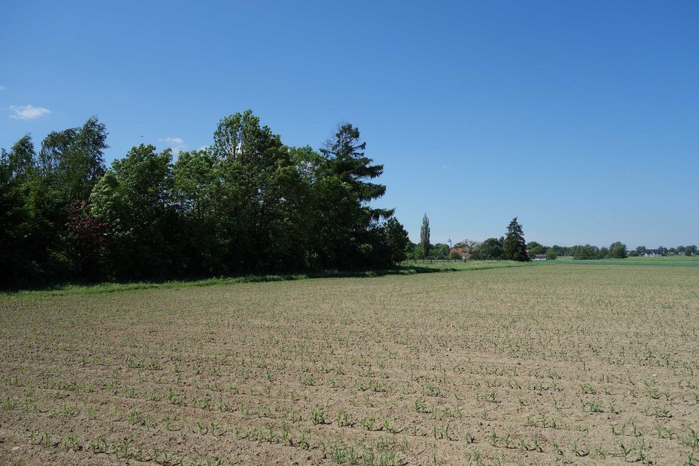 Skoczów Pruchna 1,15ha z prawem zabudowy pod stadnine rezydencje