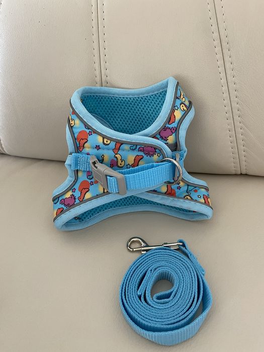 Жилетка для собак світловідбиваюча + повідок