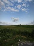 Продаж земельної ділянки 14 соток, с. Поршна, с/г призначення