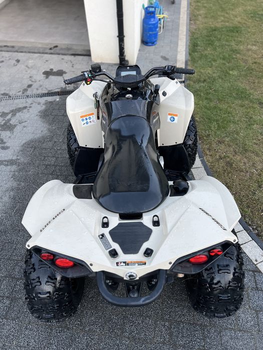 Can am Renegade