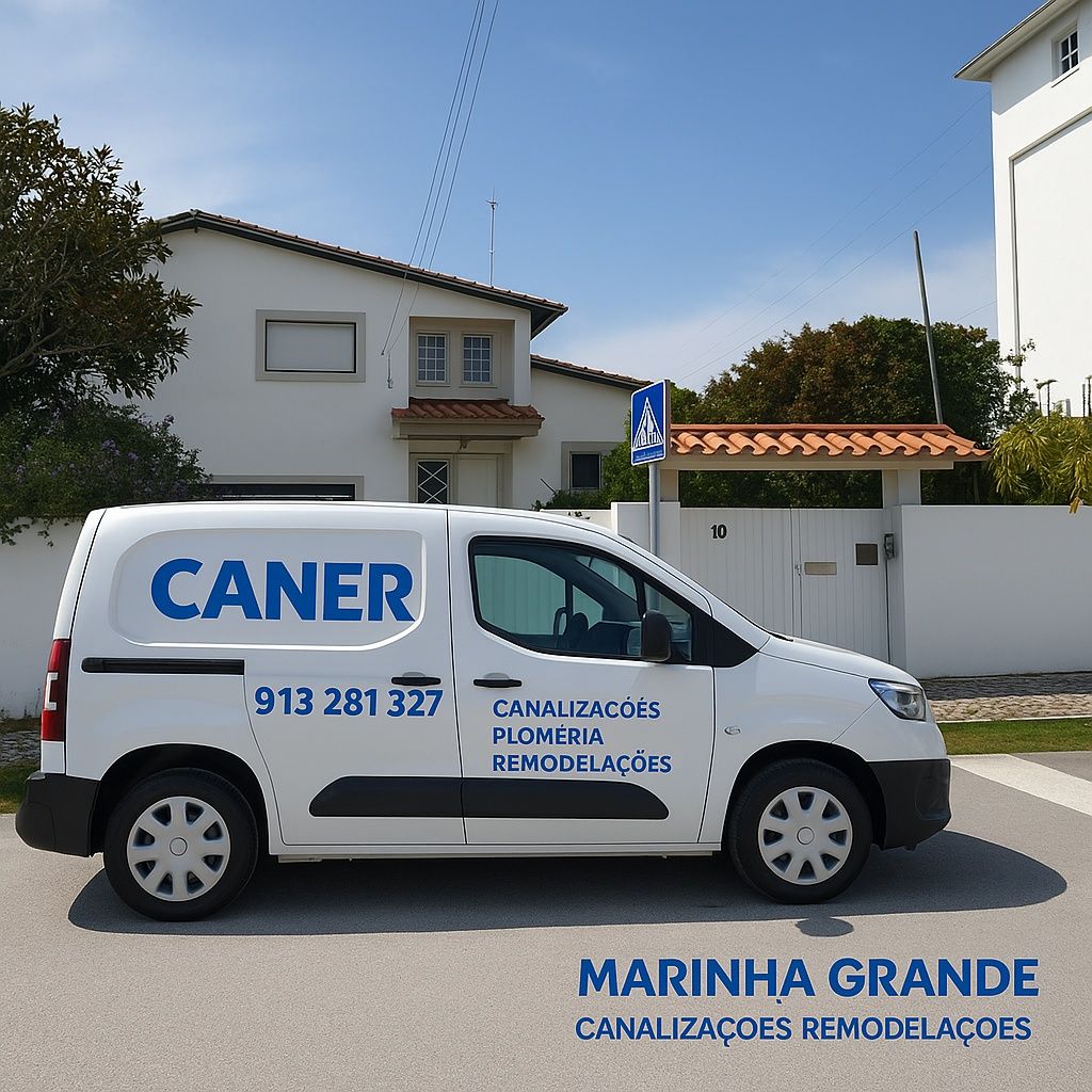 Remodelaçao canalizaçoes Eletricidade