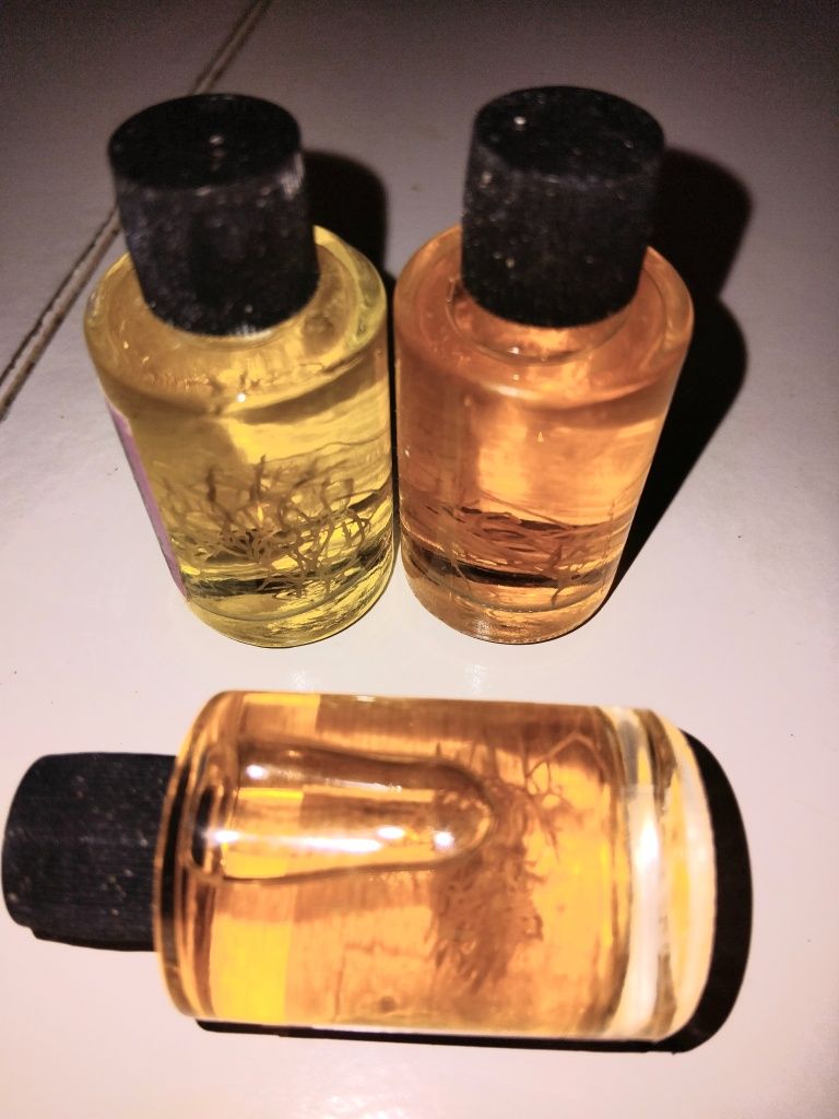 Perfume atractivo da Bôta