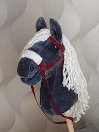 Hobby horse konik