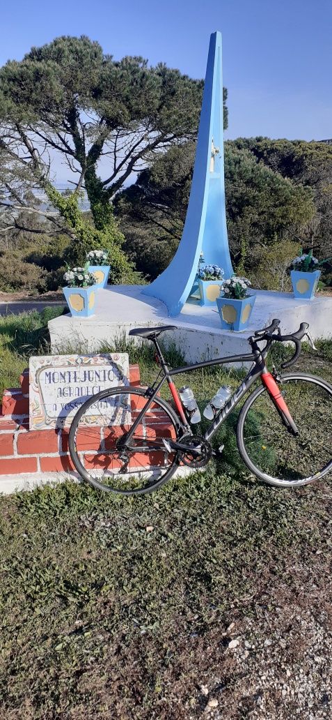 Vendo bicicleta coluer