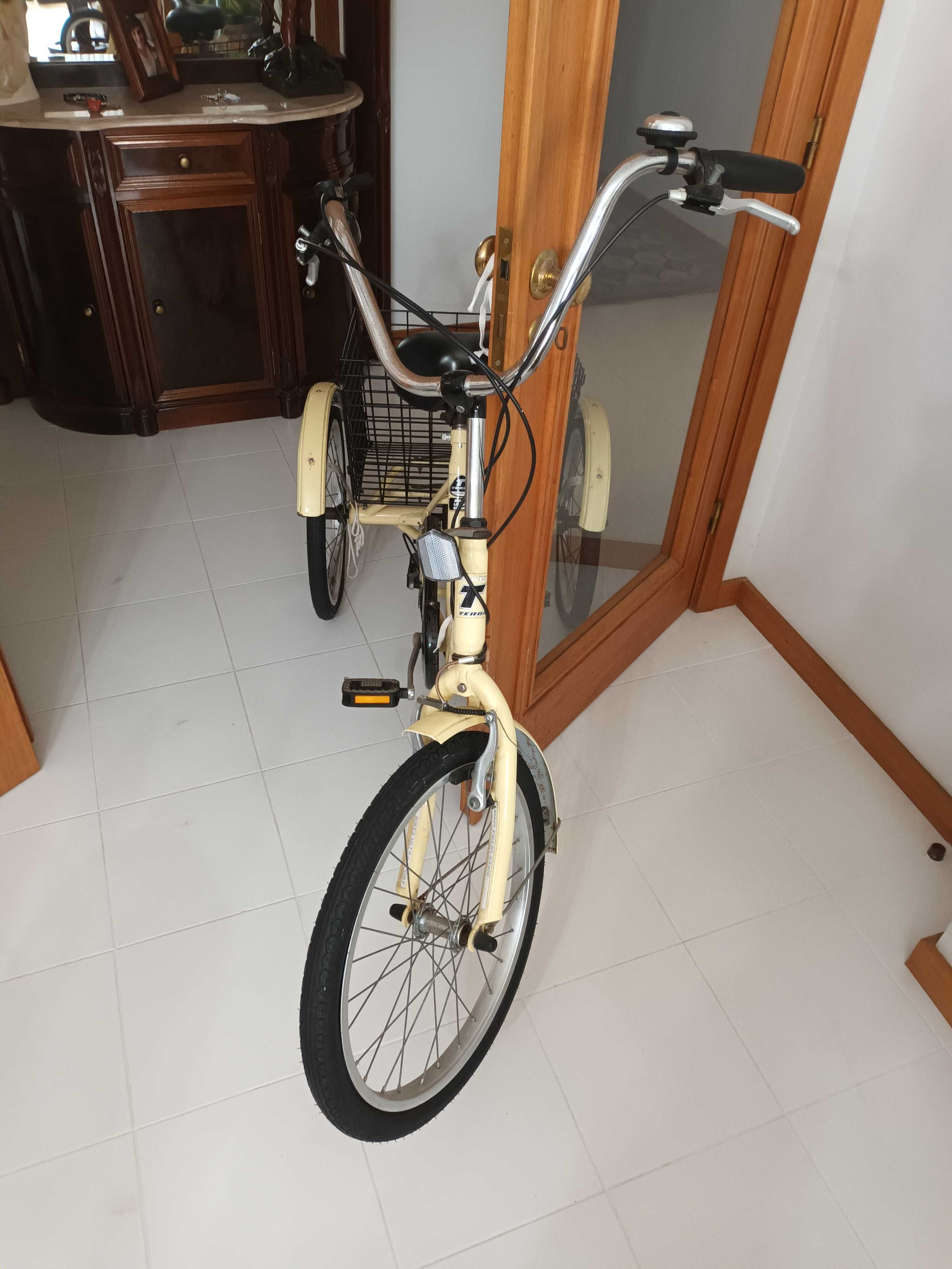 Bicicleta de 3 rodas com cesto