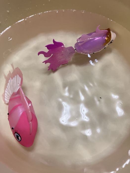 Інтерактивна іграшка рибки