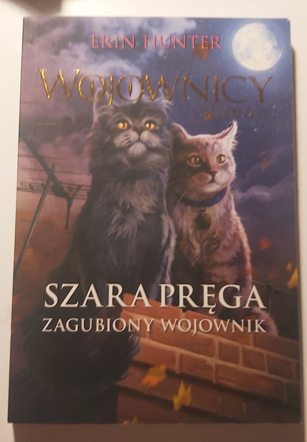 Szara pręga - wojownicy