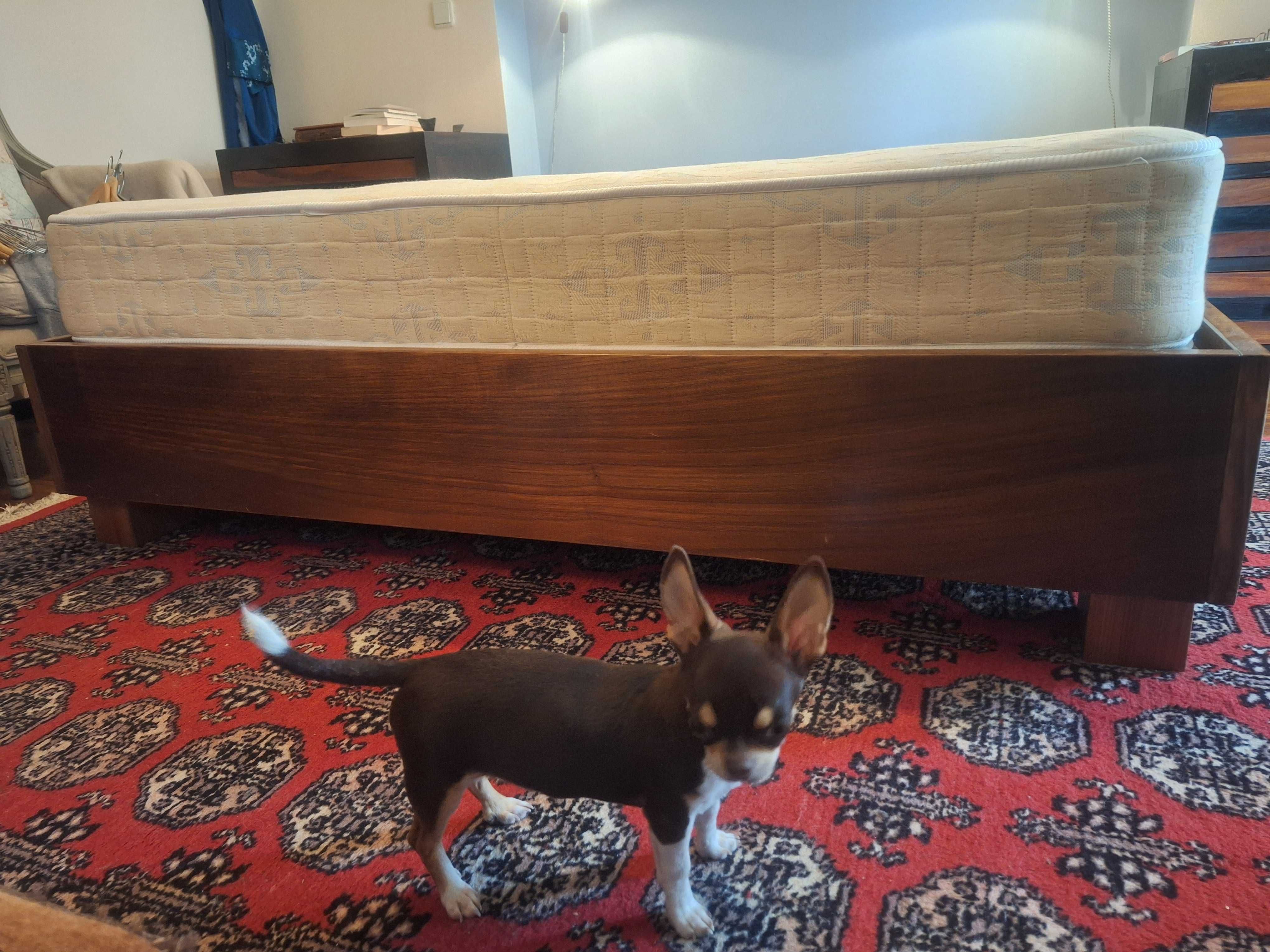 Cama/ sommier em madeira