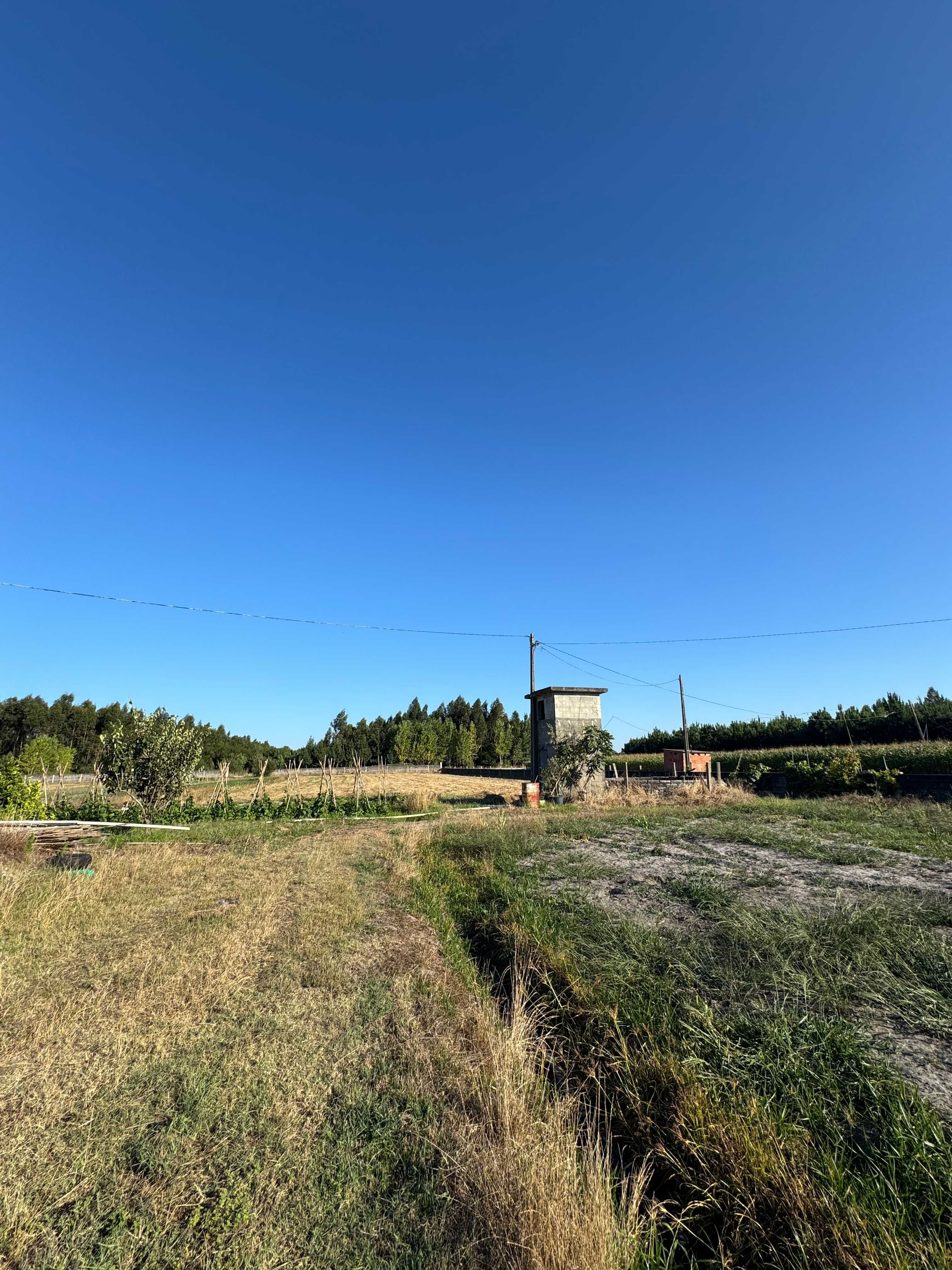 Quinta com 3 Hectares, Armazém e Copa
