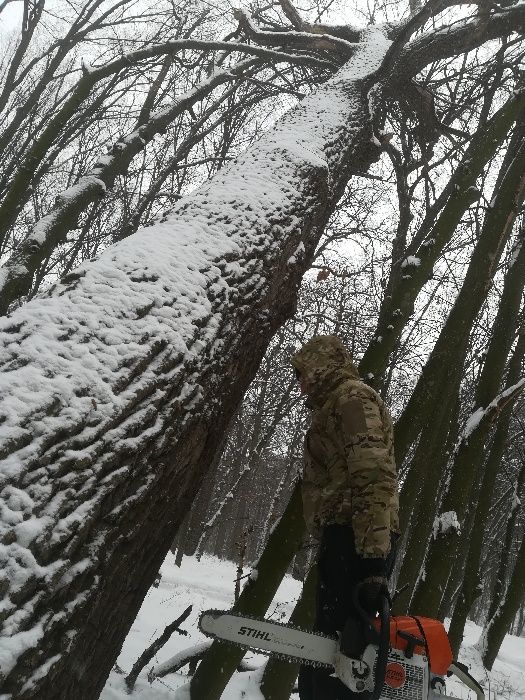 Обрезка сада, удаление деревьев, дробилка, расчистка участка, спил