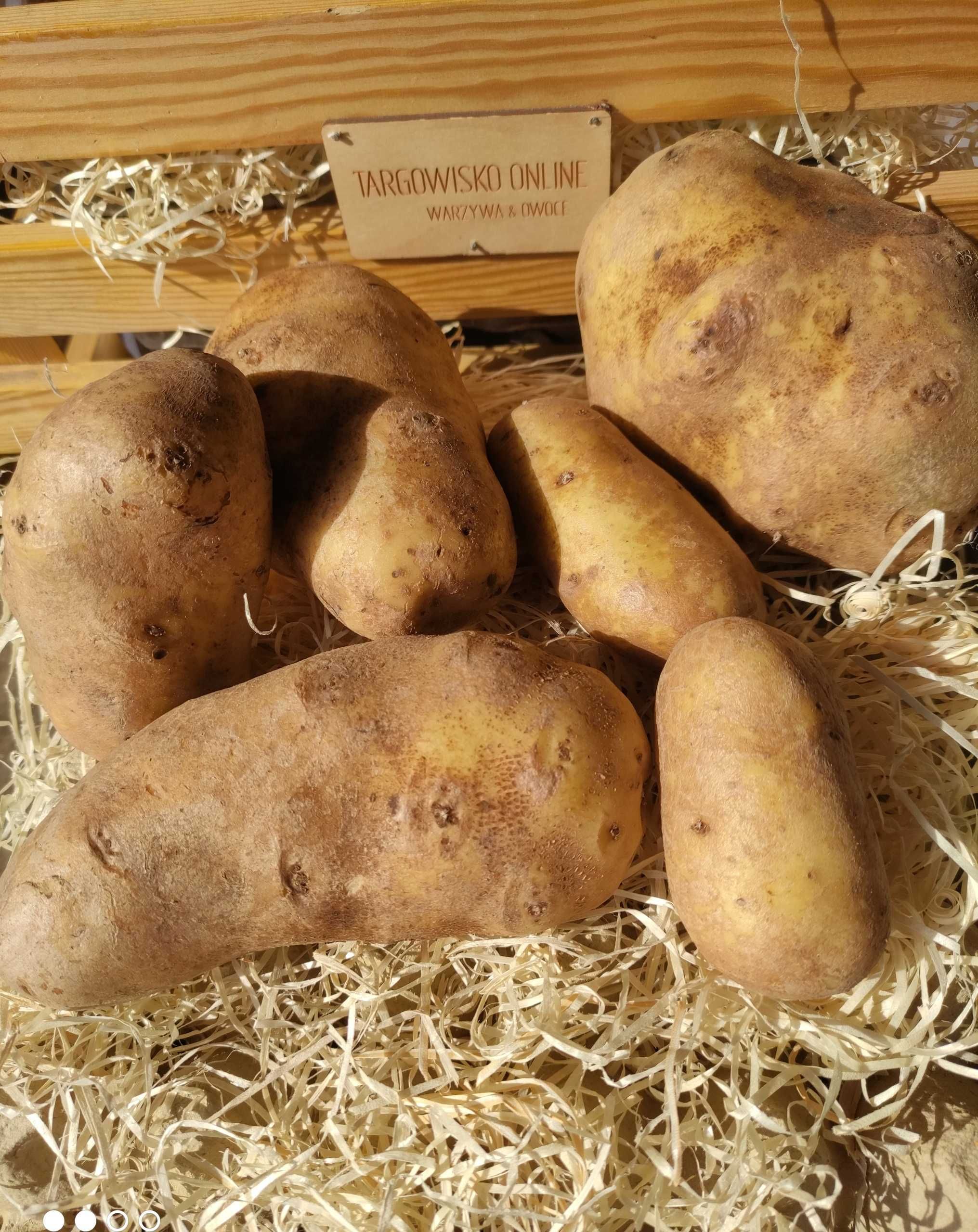 Ziemniak na frytki Frytkowy 20 kg Wysyłka na całą Polskę