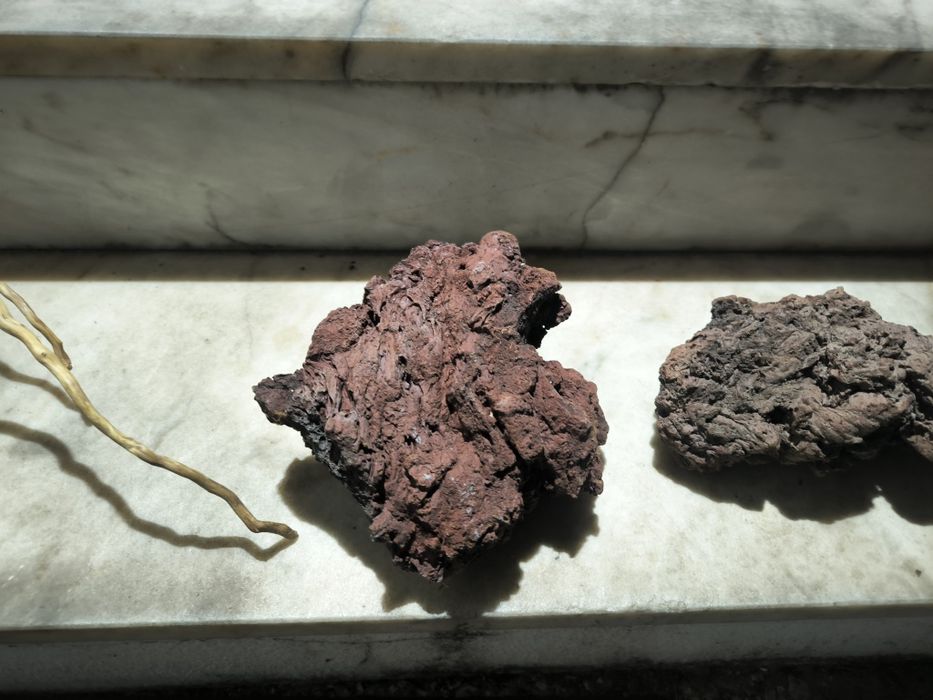 Troncos e rocha vulcânica para aquário e terrário