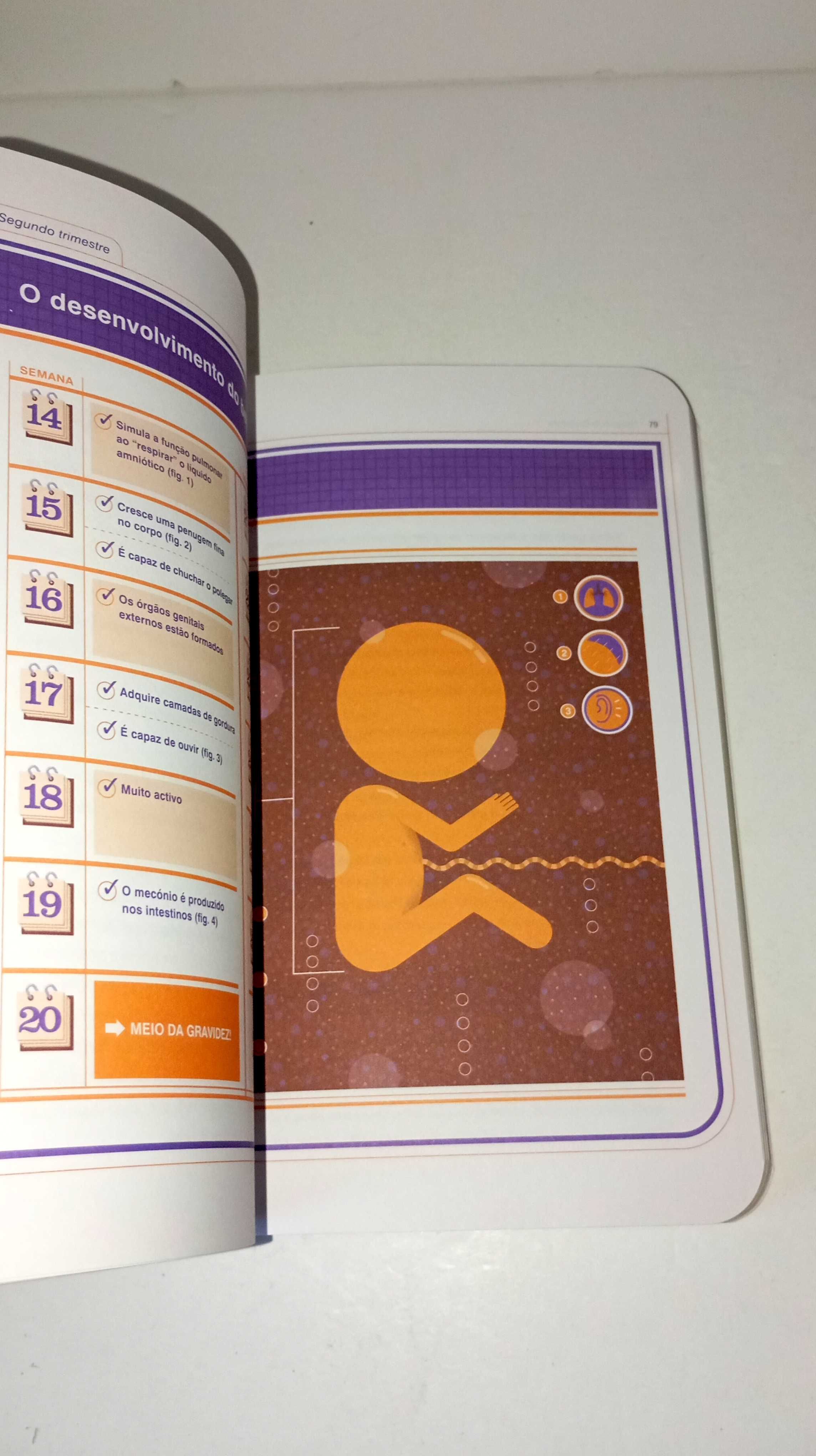 Grávida - livro de instruções