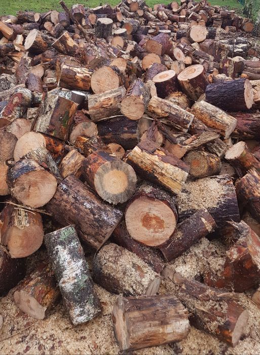 Ciecie i rąbanie drewna opałowego
