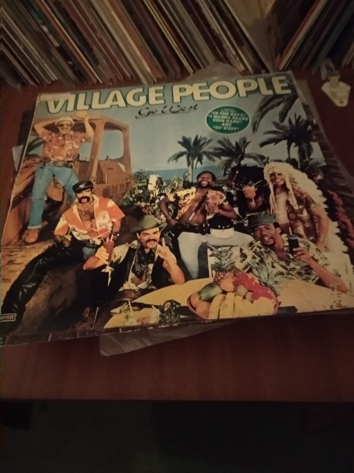 Vinil Village People