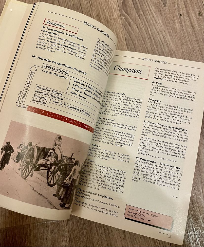Le guide du vin /гид по винам /книги на французском/Gault Millau