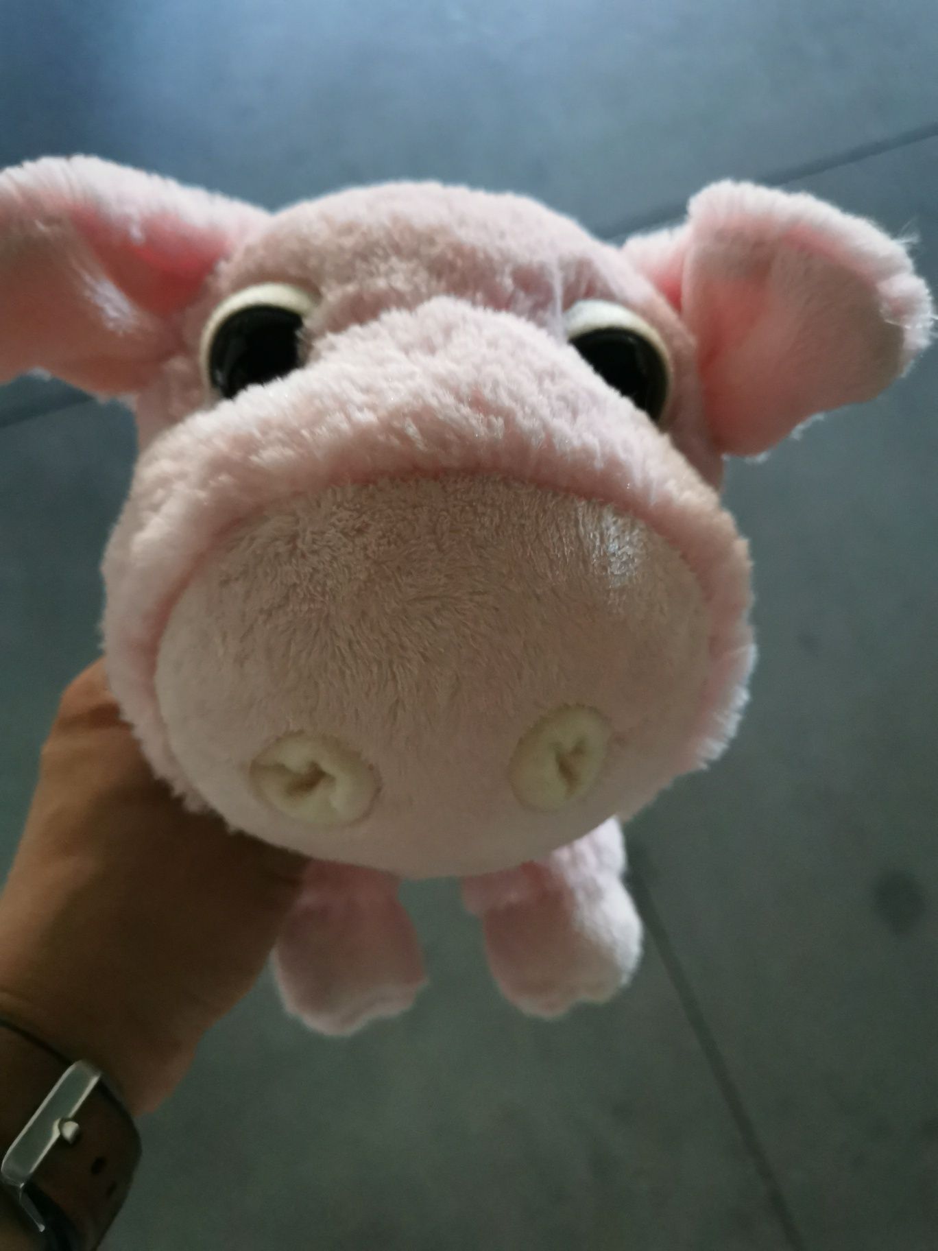 Peluches da Quinta Lidl