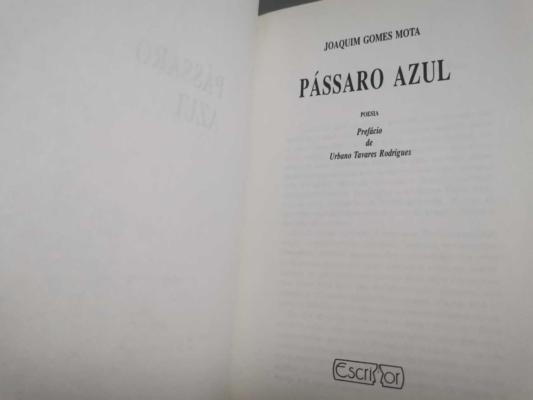 Pássaro Azul - Joaquim Gomes Mota
