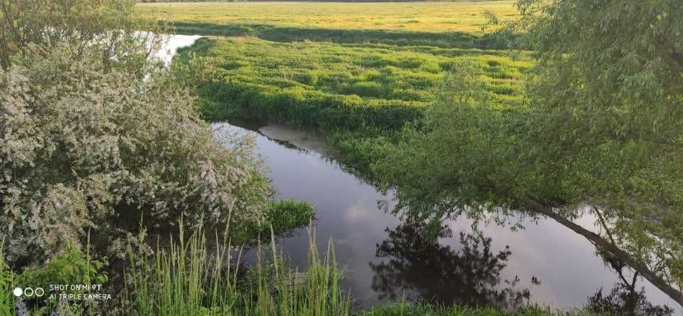 Земельна ділянка в мальовничому місці Львівський район с. Забужжя