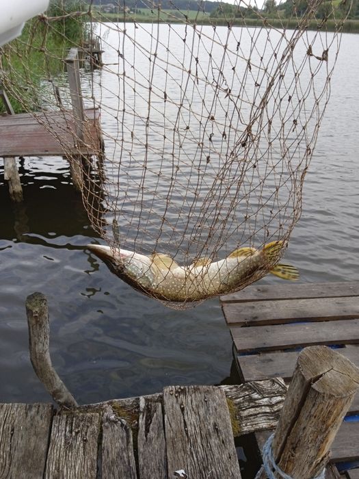 Рибацькі будинки на озері. Баня,чан, с. Киданівка, Богуславський р-н