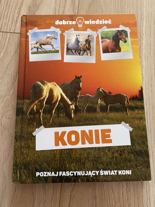Konie dobrze wiedzieć