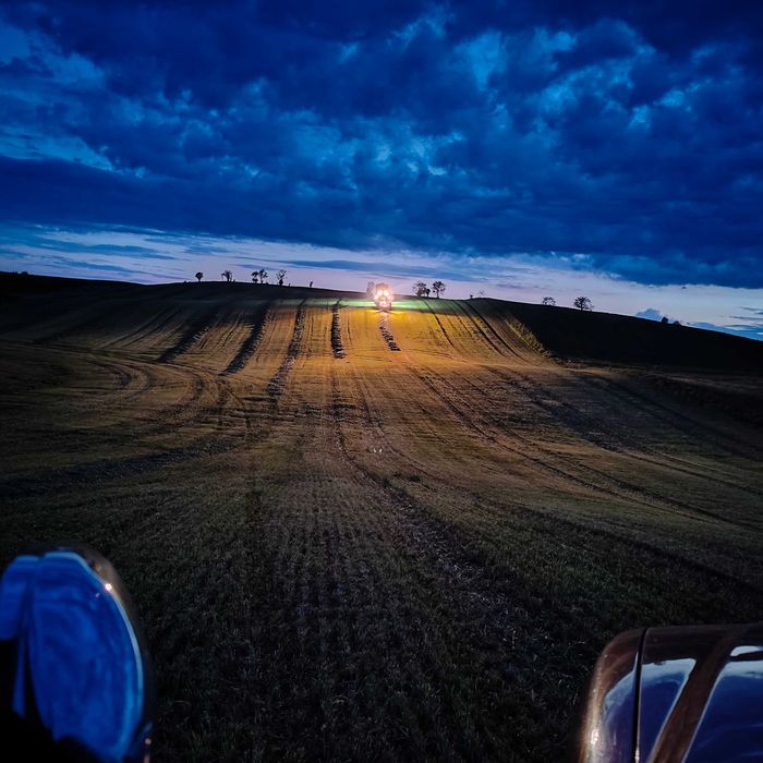 Mieszanka traw życica lucerna koniczyna trawa wysyłka