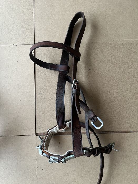 Serrelhão …………..