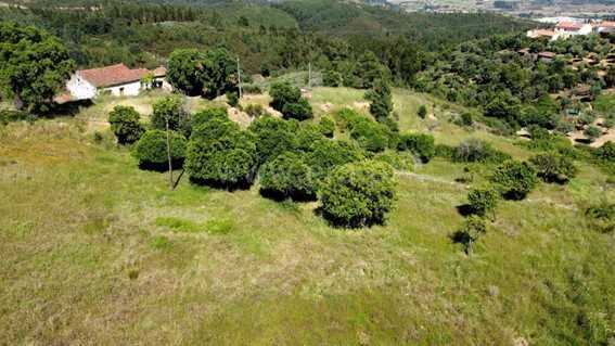 Quintinha em meio rural