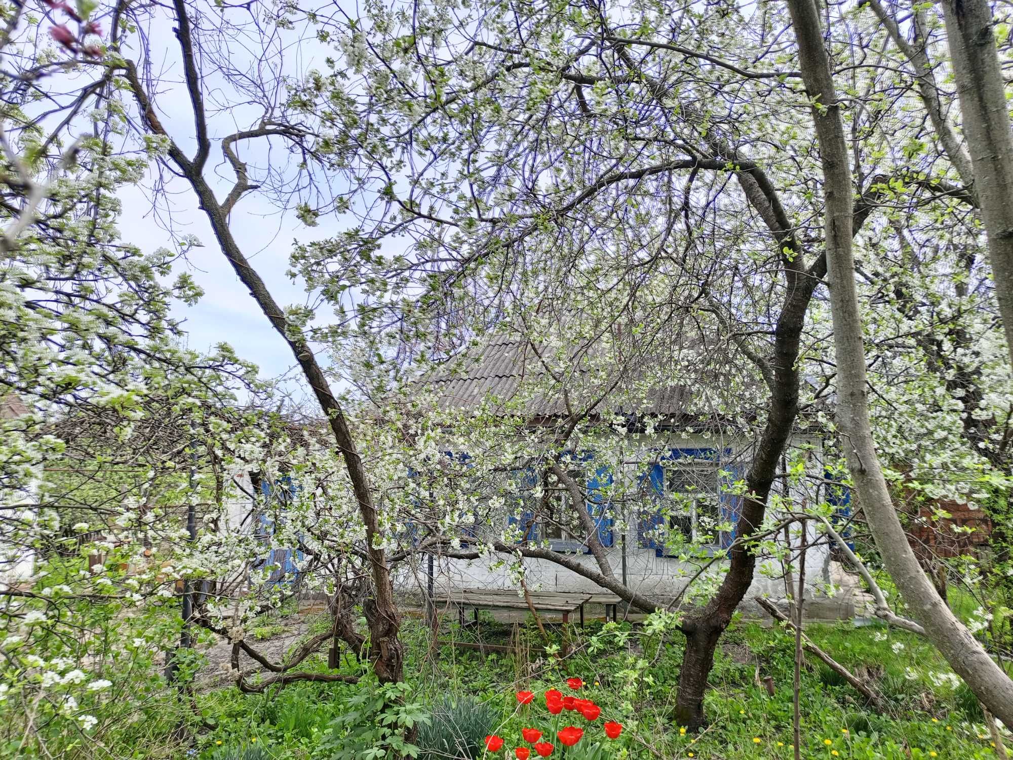 Продам будинок з газом Кам’яні Потоки 11 км до центру міста Кременчук