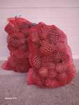 Pinhas novas e secas - Saco +- 50 pinhas
