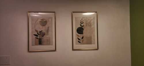 Custom Decals and photos decalques e fotos Madeira