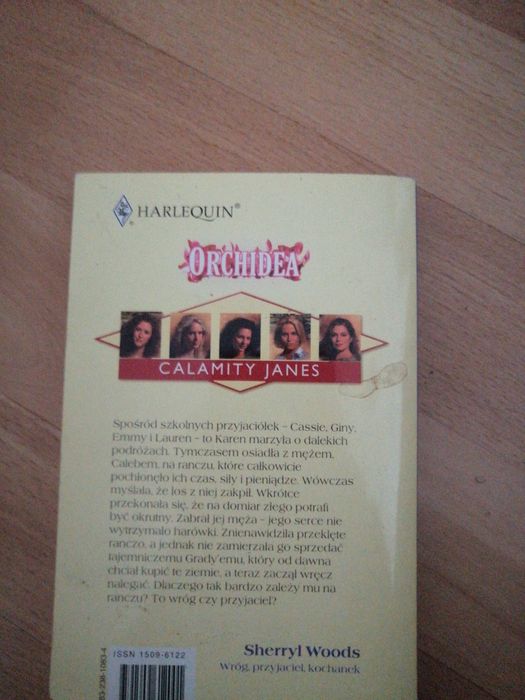 Wróg, przyjaciel, kochanek /harlequin