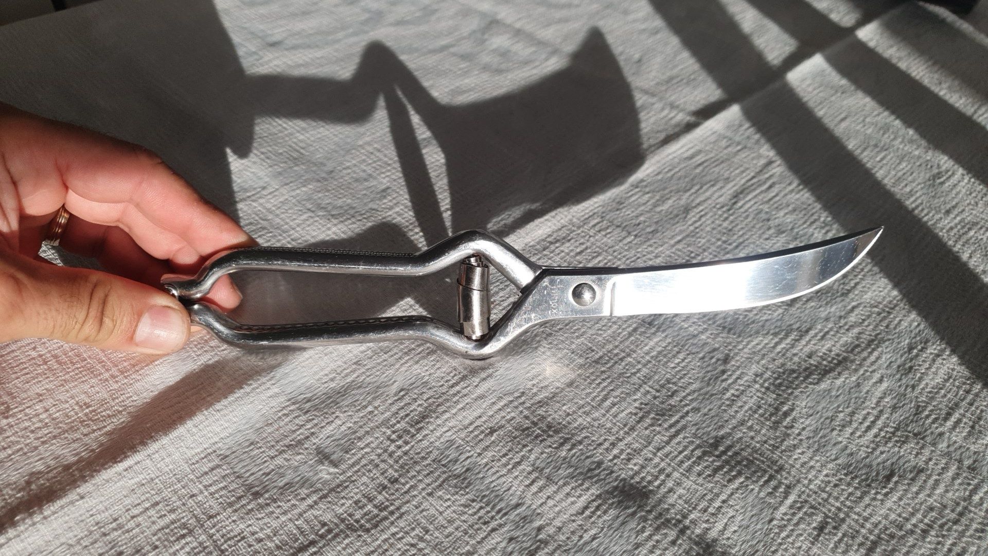 Tesoura corte carnes direita em inox + tesoura para corte de legumes