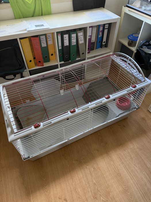 Gaiola Zolia completa para coelhos/porcos da índia