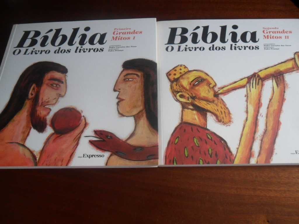 Bíblia, o Livro dos Livros - Edição Especial em 12 Volumes