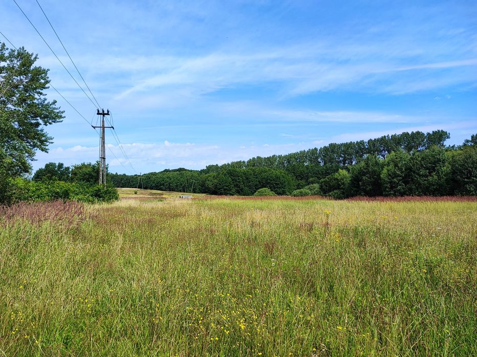 Ostatnia działka budowlana  Anielino 1450mkw z warunkami zabudowy