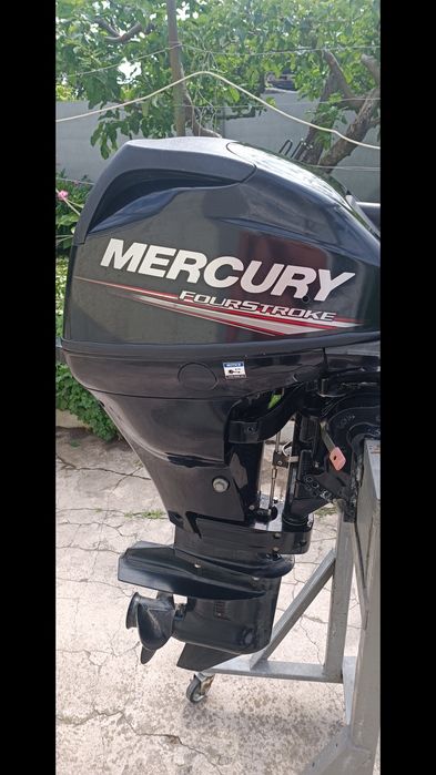 Mercury 15 4T. 2017 starter
