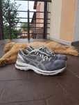 Asics Gel-Nimbus 20