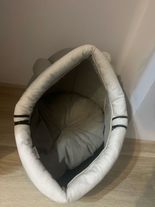 Oddam kocurka 7 miesięcy