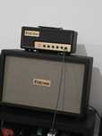 Friedman Pink Taco e Friedman 2x12