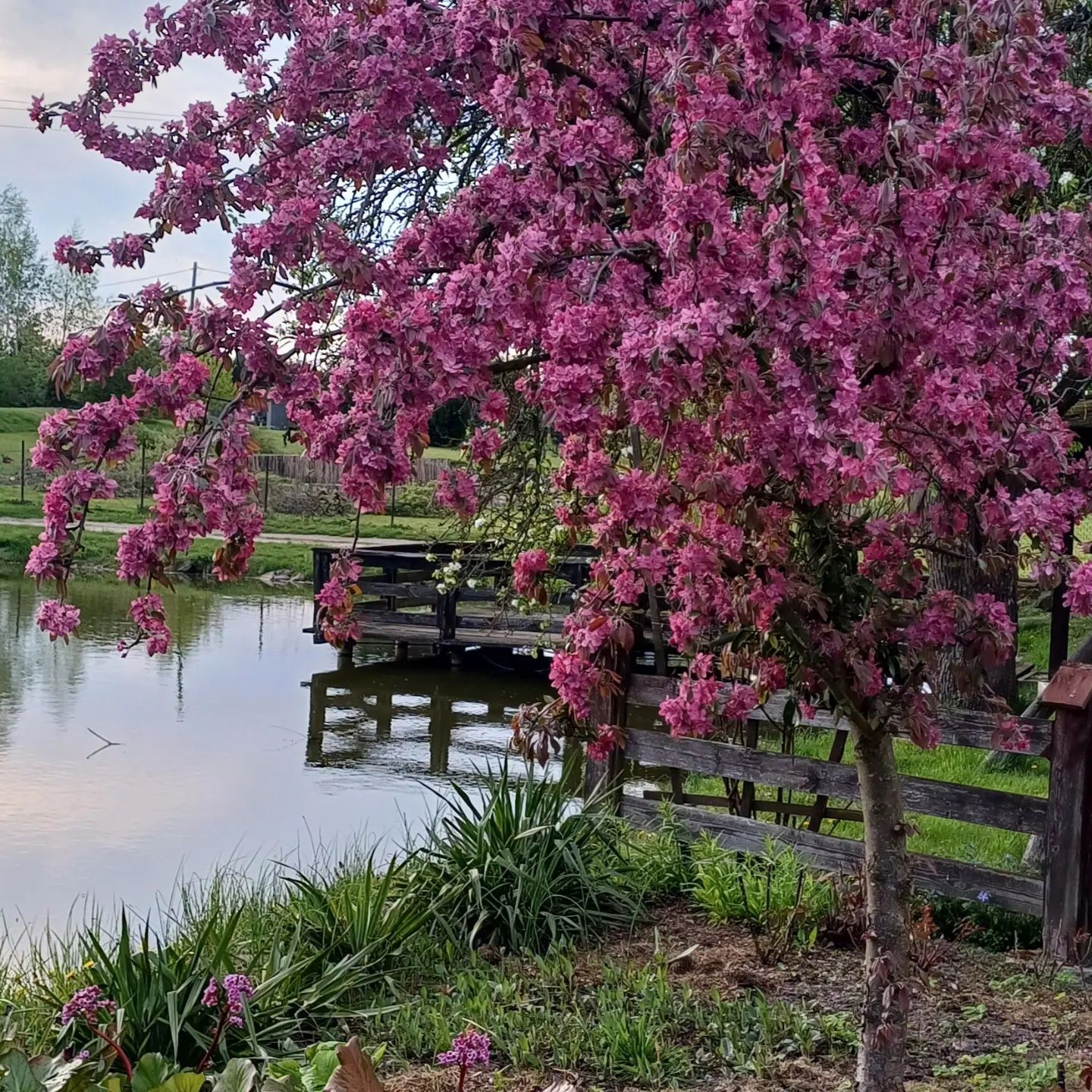 Noclegi Warmia domek letniskowy nad stawem