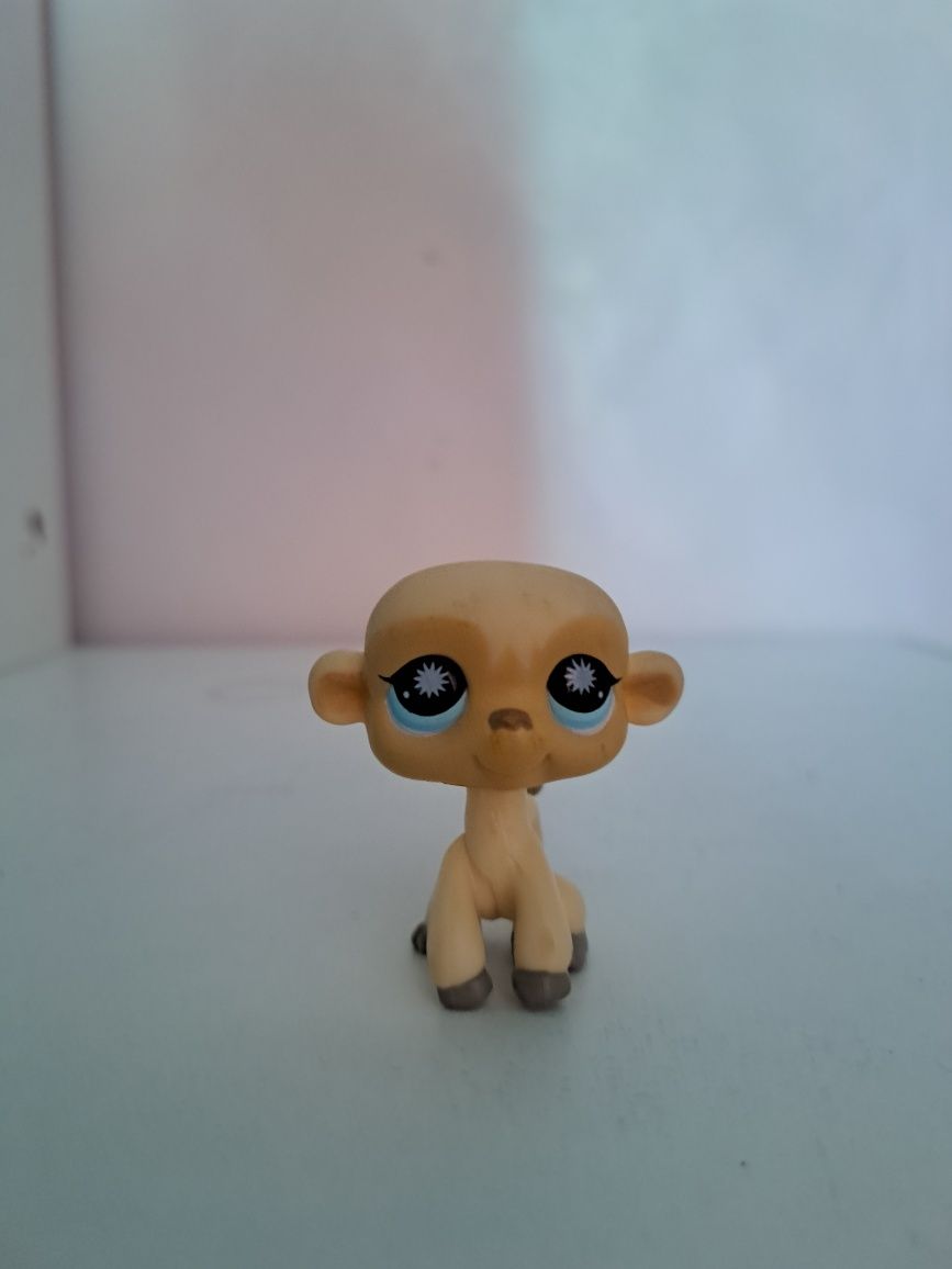 Figurka little pet shop małpki.