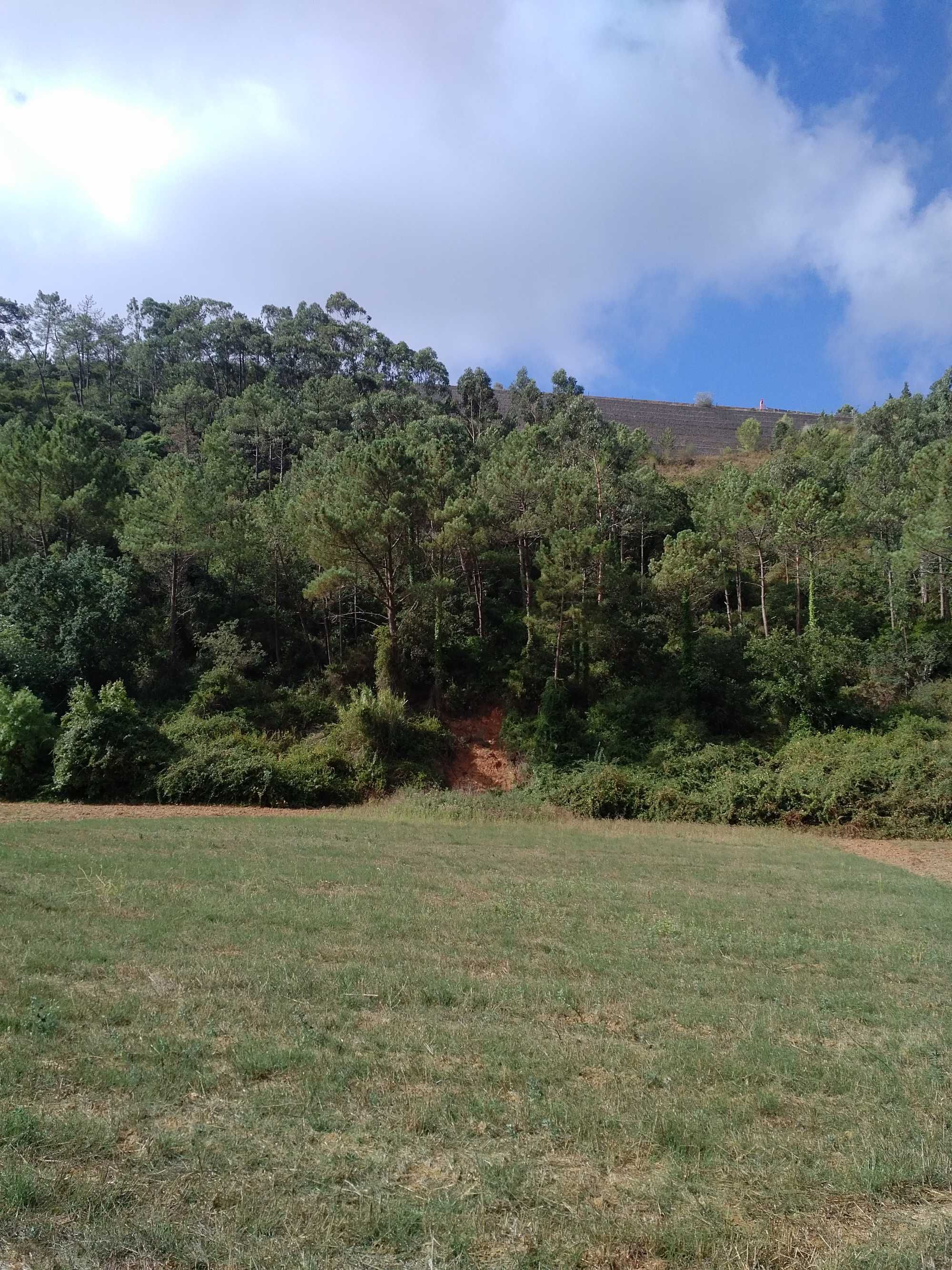 Terreno rustico de 1000m2 Carvoeira - Mafra.