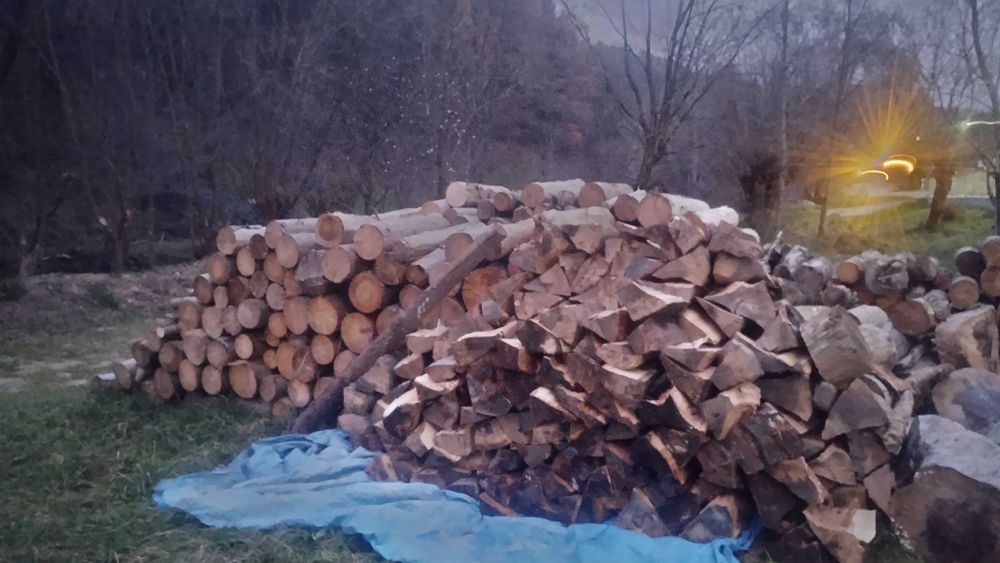 Sprzedam Opal świerkowe