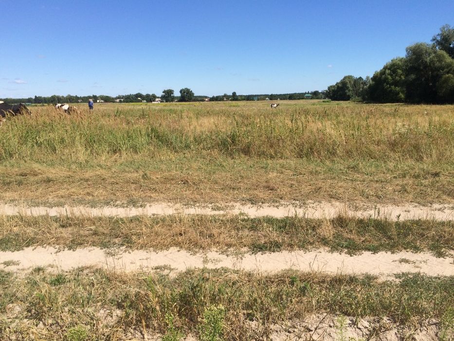 Земельна ділянка в с. Микуличі, Київська область