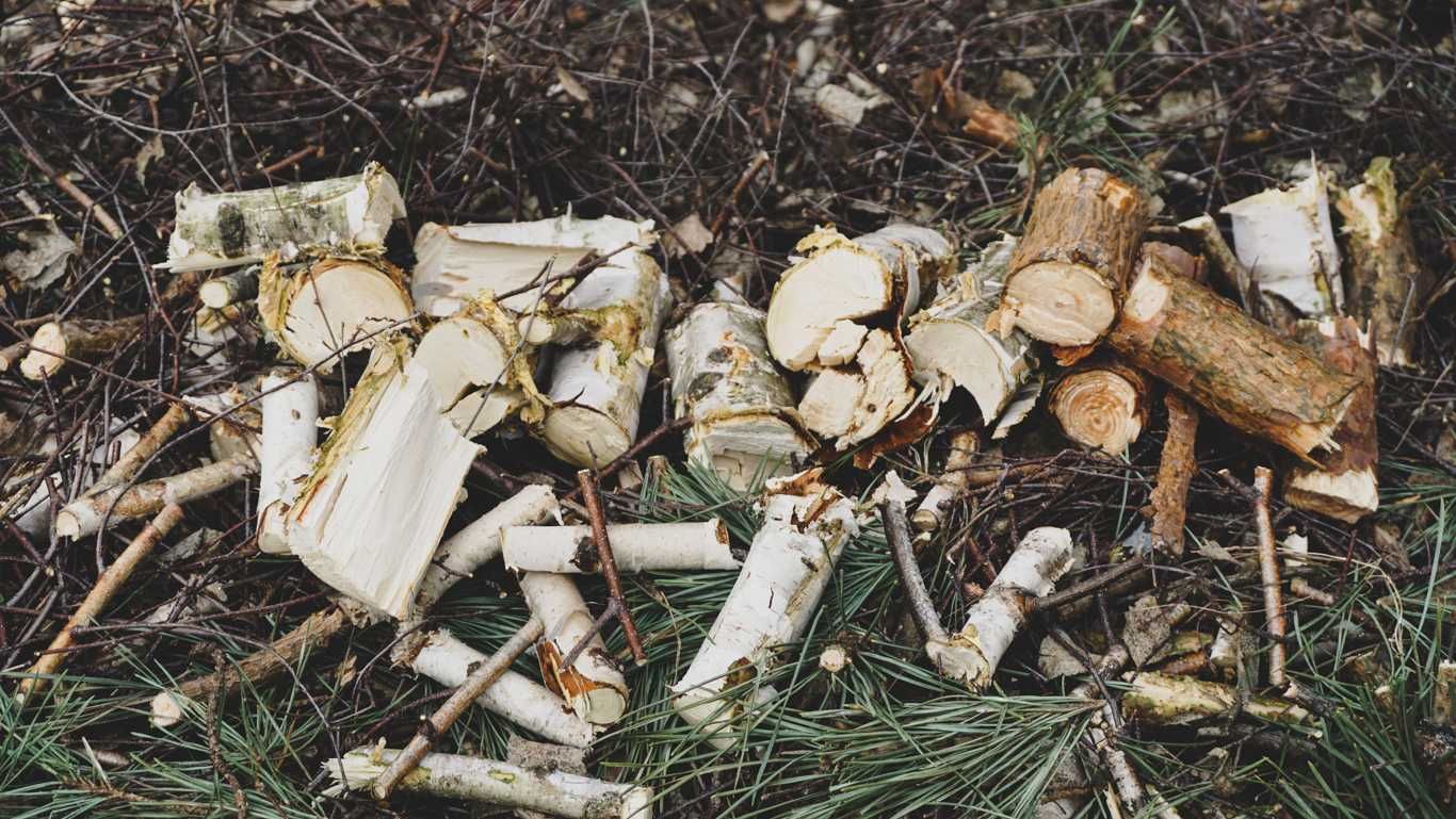 Rębak walcowy ZIKO XR-50 , rozdrabniacz do gałęzi  NOWOŚĆ