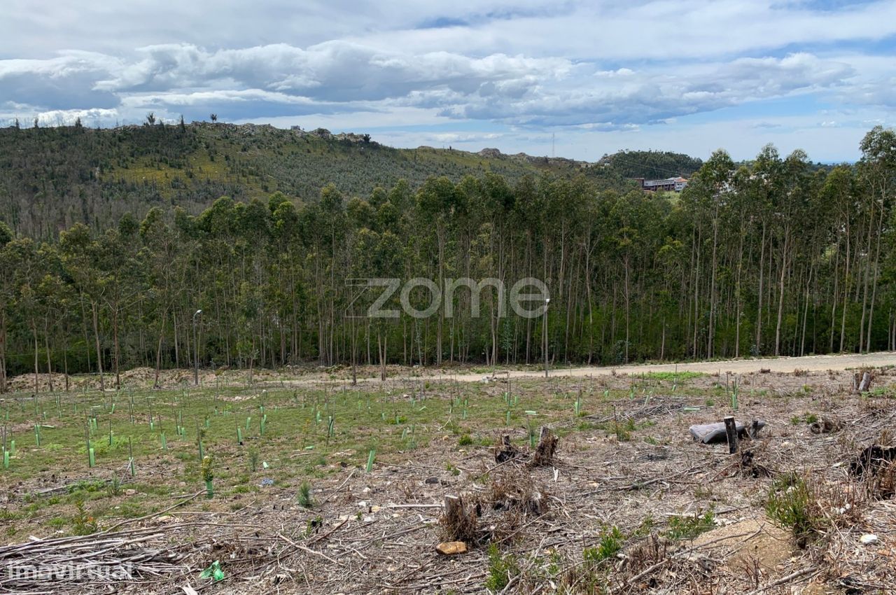 Terreno para exploração florestal e agrícola - Santa Justa, Valongo