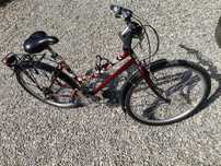 Rower Unibike Trekking