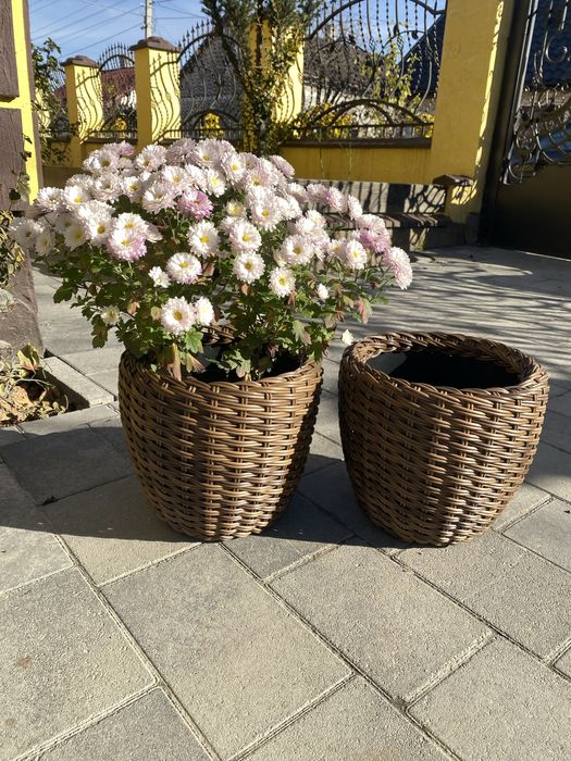 Вироби з ротангу, кашпо, дровниці, вазони