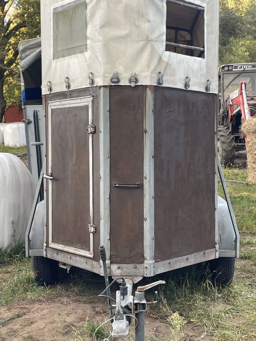 Przyczepa dla 1 konia w dobrym stanie sprowadzona